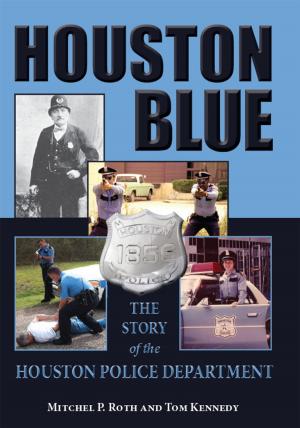 Cover of the book Houston Blue by Carol O'Keefe Wilson