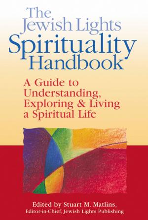Book cover of The Jewish Lights Spirituality Handbook