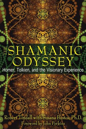 Cover of the book The Shamanic Odyssey by Lorna Hedges