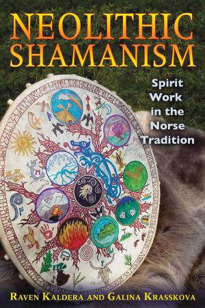 Book cover of Neolithic Shamanism
