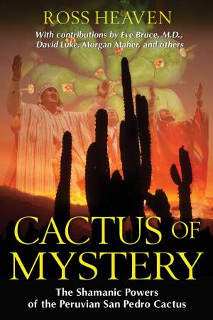 Book cover of Cactus of Mystery