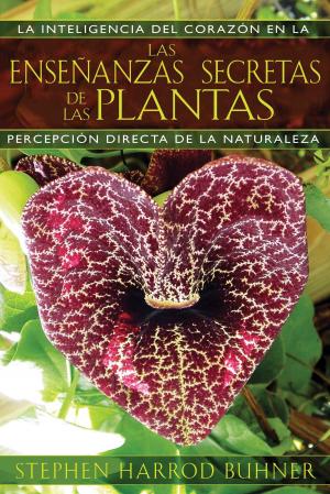 Book cover of Las enseñanzas secretas de las plantas