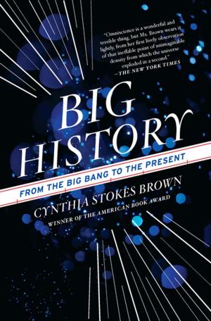 Book cover of Big History