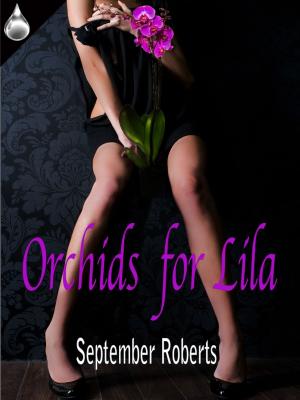 Book cover of Orchids for Lila