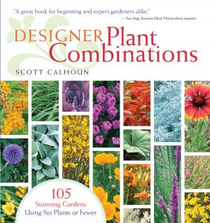 Cover of the book Designer Plant Combinations by Karl F. Lutzen, Mark Stevens