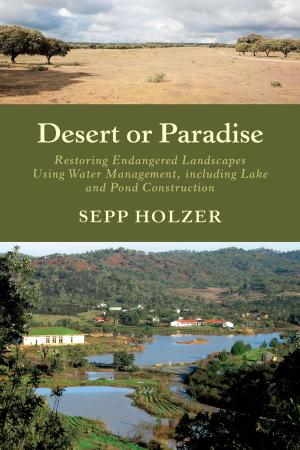Cover of the book Desert or Paradise by Bruce E. Levine, Ph.D.