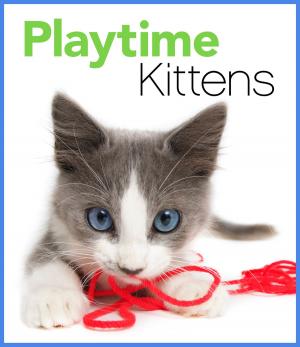 Cover of Playtime Kittens