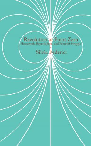 Cover of the book Revolution at Point Zero by ASARO, Mike Graham de La Rosa, Suzanne M. Schadl