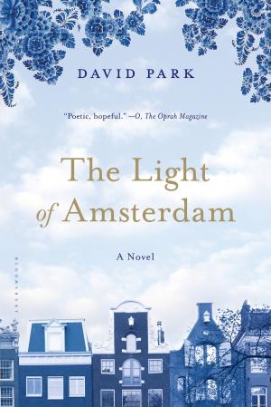 Cover of the book The Light of Amsterdam by Ezio Di Nucci