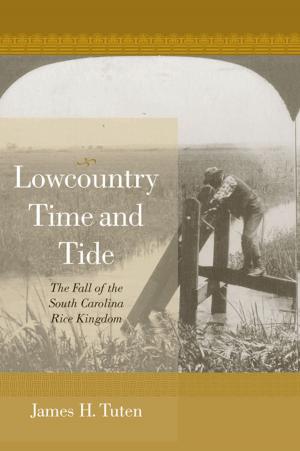 Cover of the book Lowcountry Time and Tide by DéLana R. A. Dameron