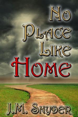 Cover of the book No Place Like Home by Lori Vadasz