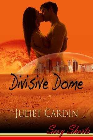 Cover of the book Divisive Dome by Diana Rose Wilson