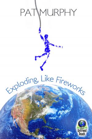 Cover of the book Exploding, Like Fireworks by J. David Bell