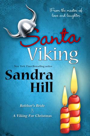 Cover of the book Santa Viking by Janice Daugharty