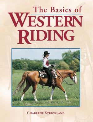 Cover of the book The Basics of Western Riding by Gayle O'Donnell