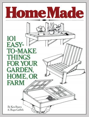 Cover of the book HomeMade by Ann Larkin Hansen