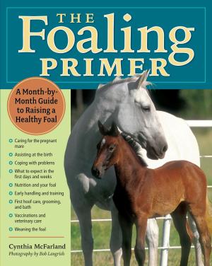 Cover of the book The Foaling Primer by Jenna Woginrich