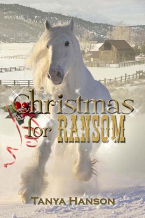 Cover of the book Christmas for Ransom by Gloria Davidson Marlow
