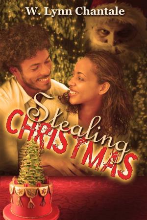 Cover of the book Stealing Christmas by T.D.  Jones