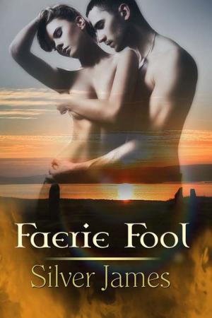 Cover of the book Faerie Fool by Barbara Devlin