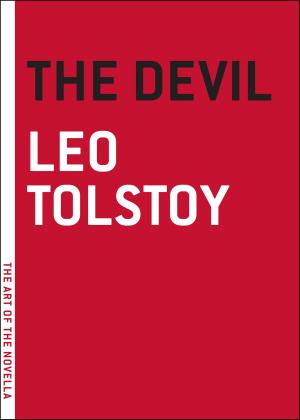 Cover of the book The Devil by Marek Krajewski