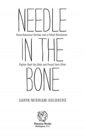 Cover of the book Needle in the Bone by Maj. Seth W. B. Folsom, USMC