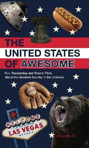 Cover of the book The United States of Awesome by John McPherson, Geri McPherson