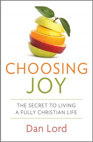 Cover of the book Choosing Joy by Dan S. Spencer III
