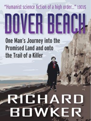 Book cover of Dover Beach (The Last P.I. Series, Book 1)