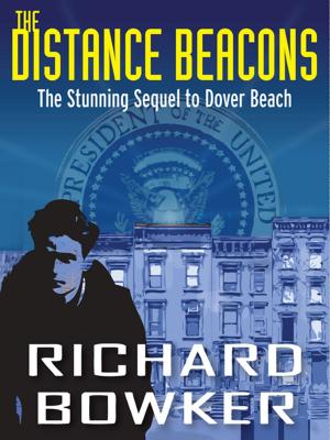 Book cover of The Distance Beacons (The Last P.I. Series, Book 2)