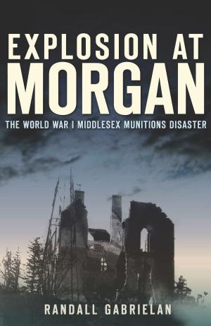Cover of the book Explosion at Morgan by Jerry W. Holsworth