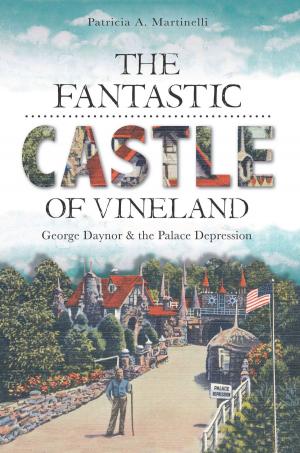 Cover of the book The Fantastic Castle of Vineland: George Daynor and the Palace Depression by Stu Sprung, Mark W. Finstuen, Oceanside Fire Department