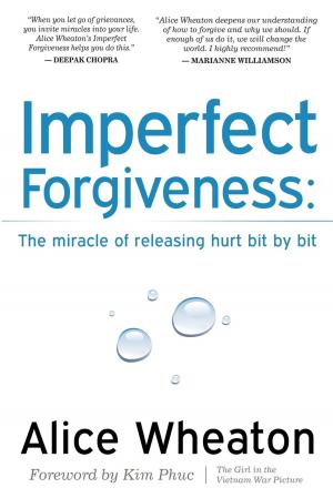 Cover of the book Imperfect Forgiveness by Mary Todd, Christina Villegas