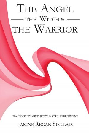 Book cover of The Angel, the Witch and the Warrior