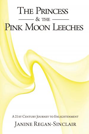 Book cover of The Princess & the Pink Moon Leeches