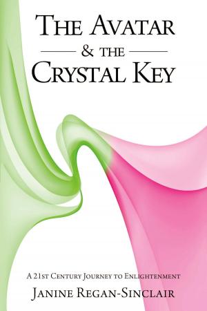 Book cover of The Avatar & the Crystal Key