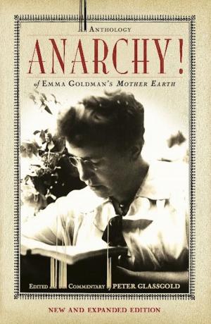 Cover of the book Anarchy! by Anna Journey