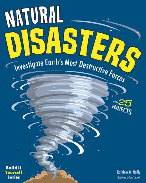 Cover of the book Natural Disasters by Ethan Zohn, David Rosenberg