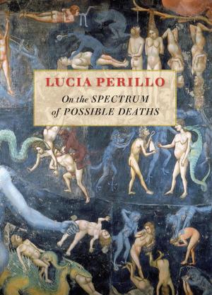 Cover of the book On the Spectrum of Possible Deaths by Lisa Olstein