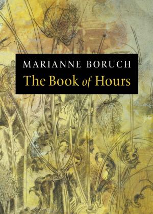 Cover of the book The Book of Hours by Laura Kasischke