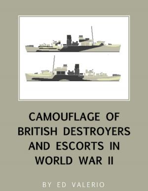 Cover of Camouflage of British Destroyers and Escorts in World War II
