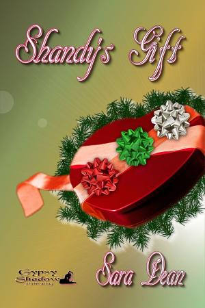 Cover of the book Shandy's Gift by Violetta Antcliff
