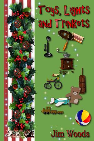 Cover of Toys, Lights and Trinkets