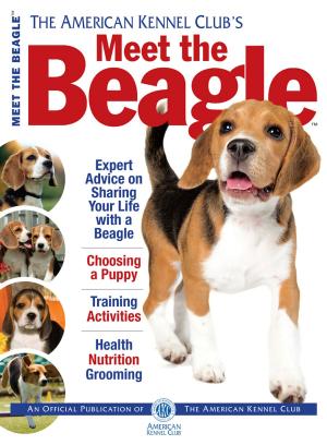 Cover of the book Meet the Beagle by Linda L Cavalier