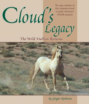 Cover of the book Cloud's Legacy by Ann Larkin Hansen