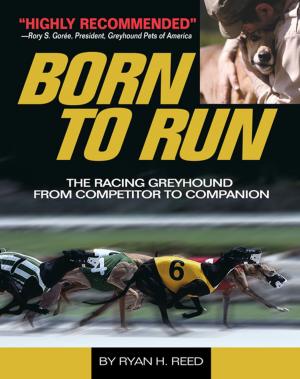 Cover of the book The Born to Run by Lesley Ward