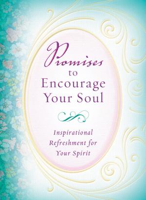 Cover of the book Promises to Encourage Your Soul by Marilou Flinkman
