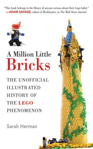 Cover of the book A Million Little Bricks by Howie Southworth