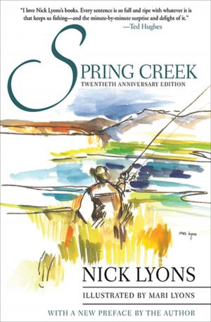 Cover of the book Spring Creek by Joseph B. Healy