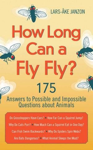 Book cover of How Long Can a Fly Fly?